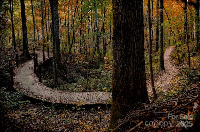 124 Cardinal Rd, Lake Lure, NC 28746 - view of woods