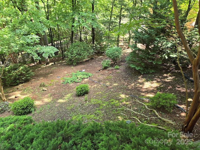 124 Cardinal Rd, Lake Lure, NC 28746 - view of local wilderness