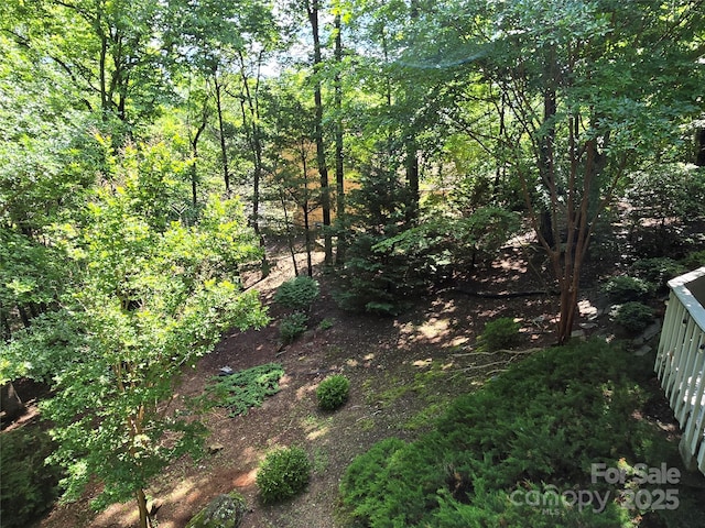 124 Cardinal Rd, Lake Lure, NC 28746 - view of nature