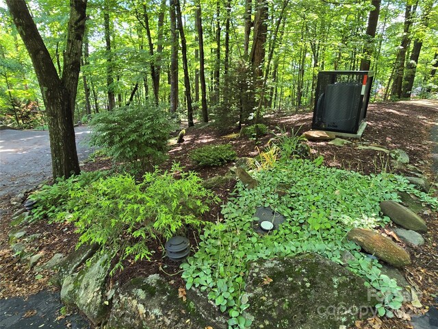 124 Cardinal Rd, Lake Lure, NC 28746 - view of yard