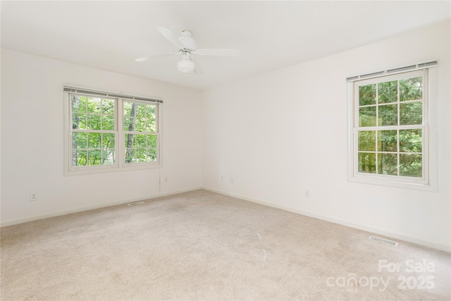 1005 Utsonati Ln, Brevard, NC 28712 - photo 20
