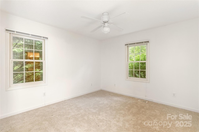 1005 Utsonati Ln, Brevard, NC 28712 - photo 21