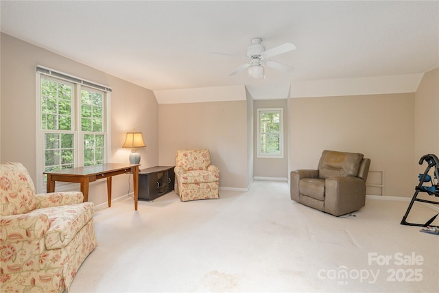 1005 Utsonati Ln, Brevard, NC 28712 - photo 24