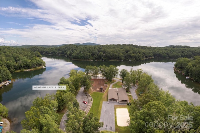1005 Utsonati Ln, Brevard, NC 28712 - photo 43
