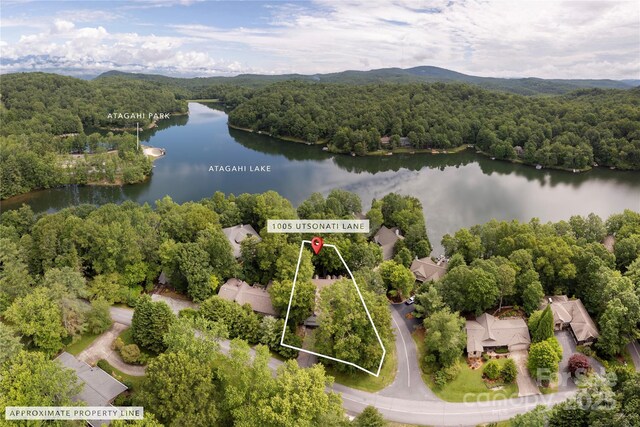 1005 Utsonati Ln, Brevard, NC 28712 - photo 1