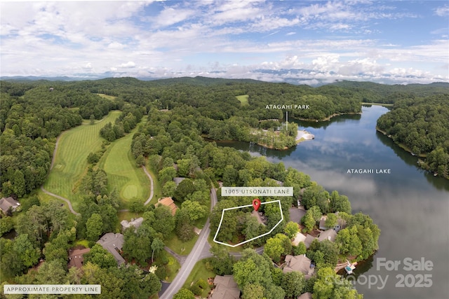 1005 Utsonati Ln, Brevard, NC 28712 - photo 4