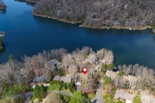 1005 Utsonati Ln, Brevard, NC 28712 - photo 5