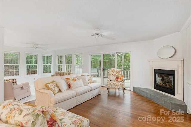 1005 Utsonati Ln, Brevard, NC 28712 - photo 6