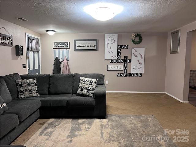 541 Pilgrim Rd, Ellenboro, NC 28040 - living room with carpet floors, baseboards, visible vents, and a textured ceiling