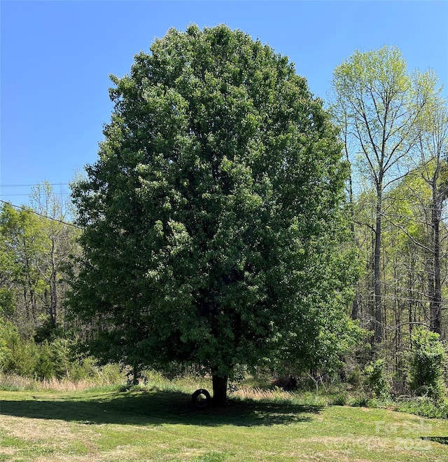 541 Pilgrim Rd, Ellenboro, NC 28040 - view of nature