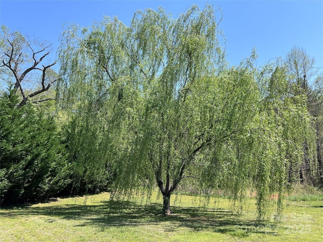 541 Pilgrim Rd, Ellenboro, NC 28040 - view of nature with a wooded view