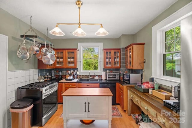 88 S Main St, Weaverville, NC 28787 - kitchen featuring a wealth of natural light, light wood-style flooring, a sink, and appliances with stainless steel finishes
