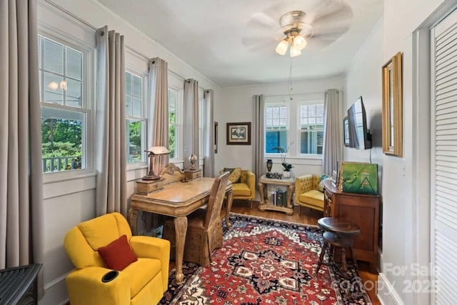 88 S Main St, Weaverville, NC 28787 - living area featuring wood finished floors, ceiling fan, baseboards, and plenty of natural light