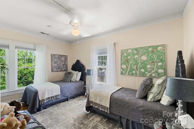 88 S Main St, Weaverville, NC 28787 - bedroom with crown molding, ceiling fan, multiple windows, and visible vents