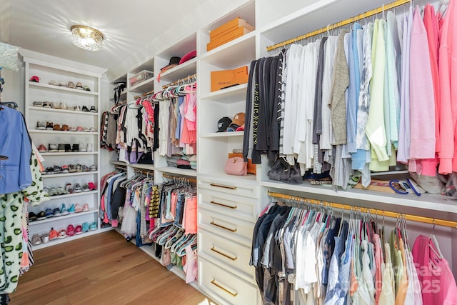 153 High Hills Dr, Mooresville, NC 28117 - spacious closet with wood finished floors