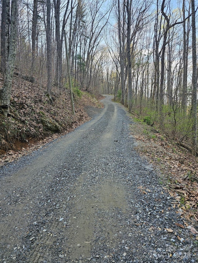 99999 Pink Fox Cove Rd, Weaverville, NC 28787