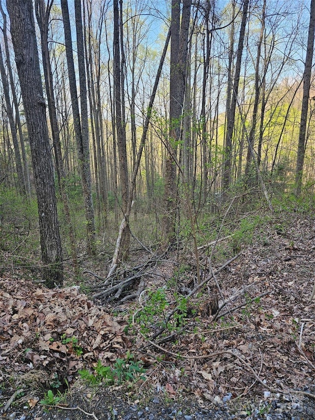 99999 Pink Fox Cove Rd, Weaverville, NC 28787
