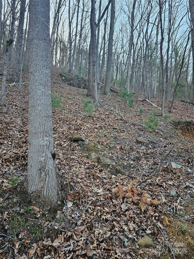 99999 Pink Fox Cove Rd, Weaverville, NC 28787