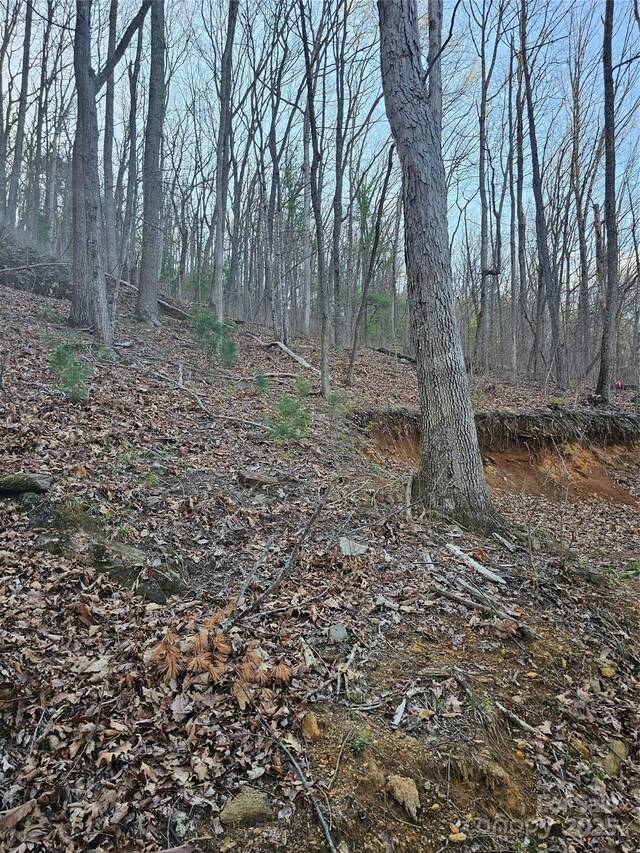 99999 Pink Fox Cove Rd, Weaverville, NC 28787