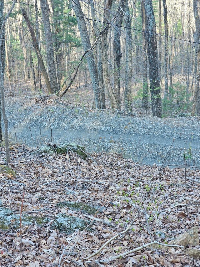 99999 Pink Fox Cove Rd, Weaverville, NC 28787