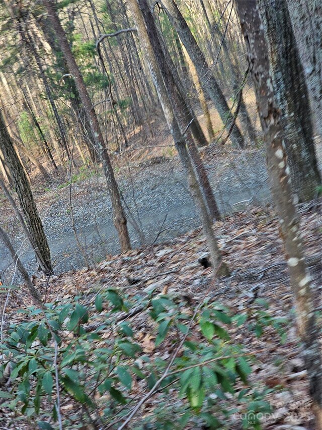 99999 Pink Fox Cove Rd, Weaverville, NC 28787