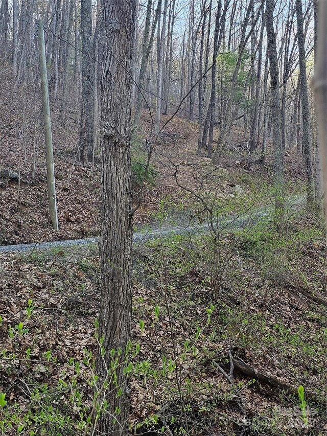 99999 Pink Fox Cove Rd, Weaverville, NC 28787
