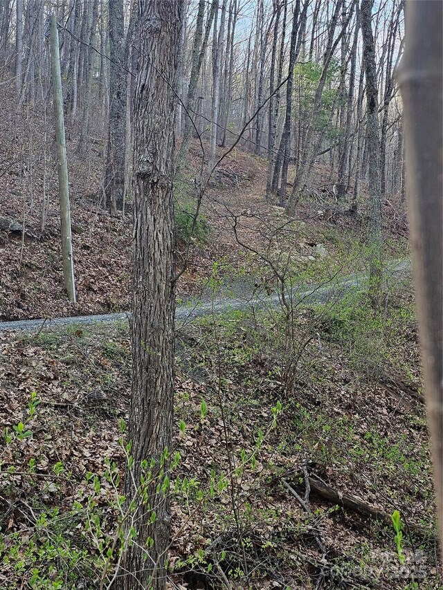 99999 Pink Fox Cove Rd, Weaverville, NC 28787