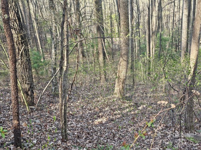 99999 Pink Fox Cove Rd, Weaverville, NC 28787