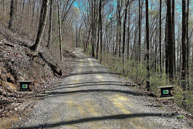 99999 Pink Fox Cove Rd, Weaverville, NC 28787
