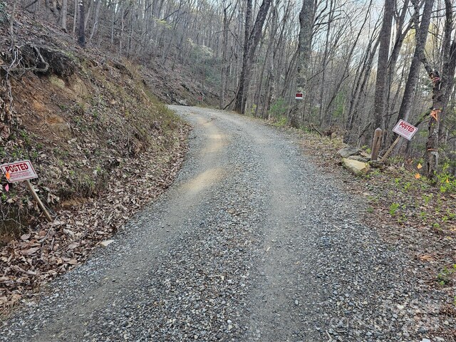 99999 Pink Fox Cove Rd, Weaverville, NC 28787