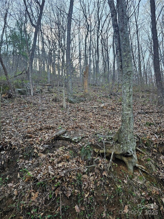 99999 Pink Fox Cove Rd, Weaverville, NC 28787