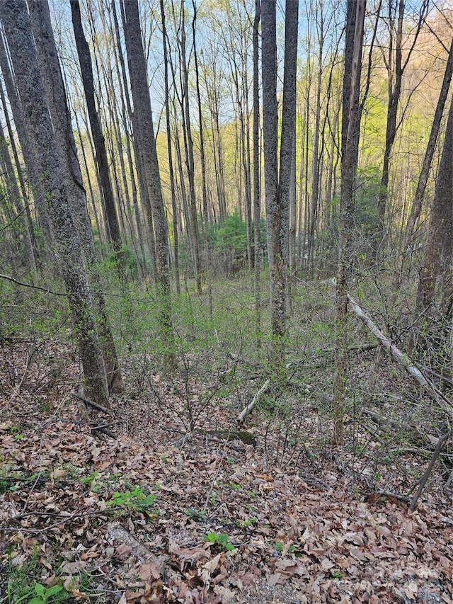 99999 Pink Fox Cove Rd, Weaverville, NC 28787