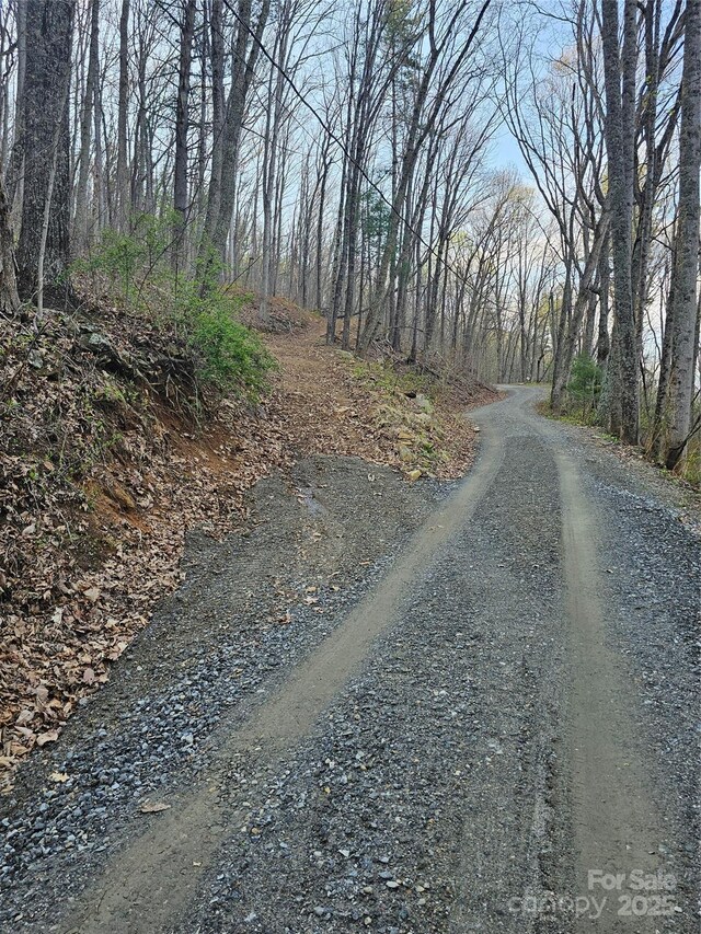 99999 Pink Fox Cove Rd, Weaverville, NC 28787