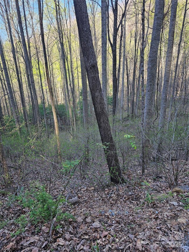 99999 Pink Fox Cove Rd, Weaverville, NC 28787