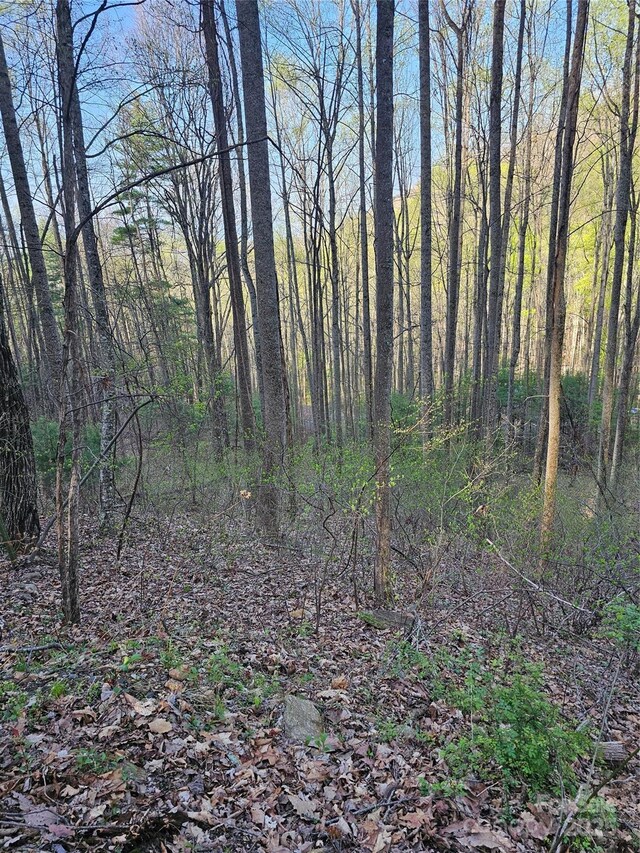 99999 Pink Fox Cove Rd, Weaverville, NC 28787