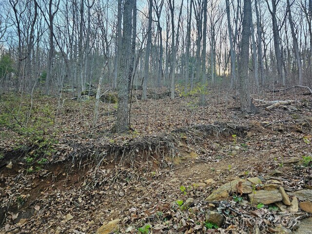 99999 Pink Fox Cove Rd, Weaverville, NC 28787