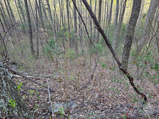 99999 Pink Fox Cove Rd, Weaverville, NC 28787