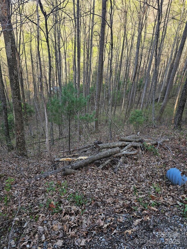 99999 Pink Fox Cove Rd, Weaverville, NC 28787