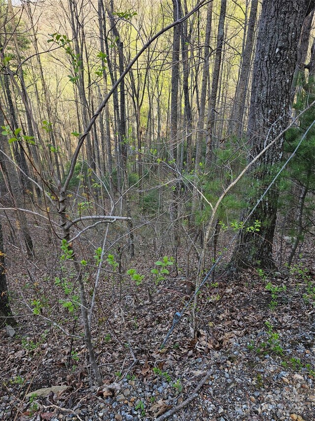 99999 Pink Fox Cove Rd, Weaverville, NC 28787