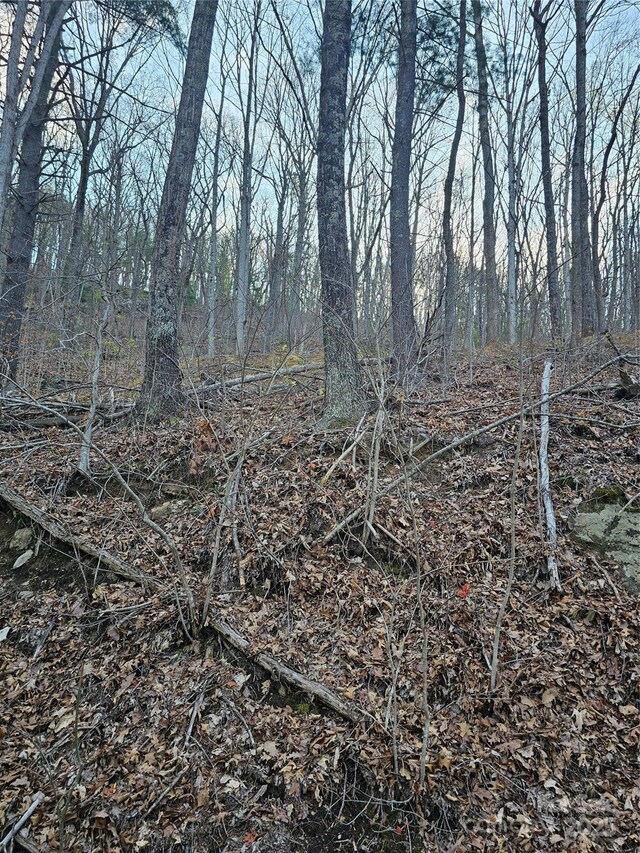 99999 Pink Fox Cove Rd, Weaverville, NC 28787