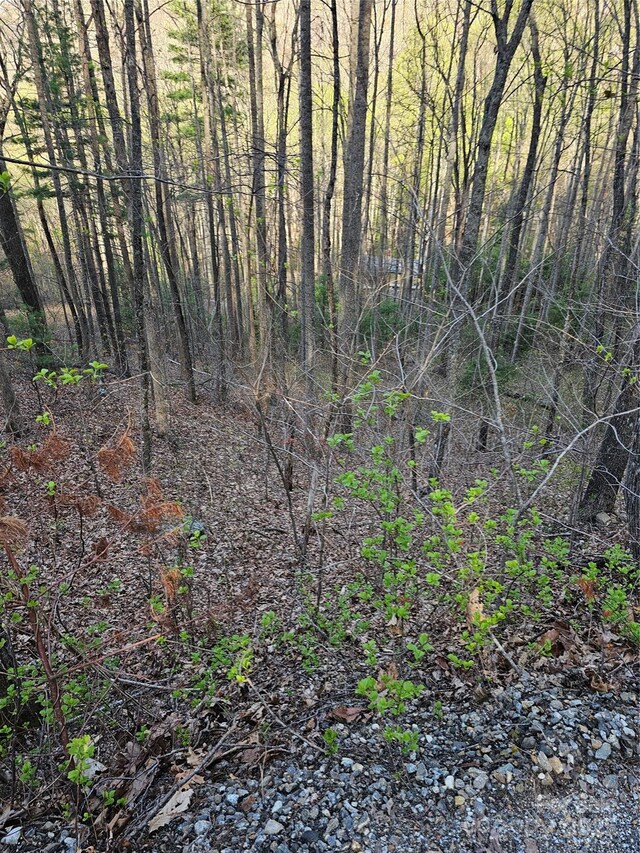 99999 Pink Fox Cove Rd, Weaverville, NC 28787