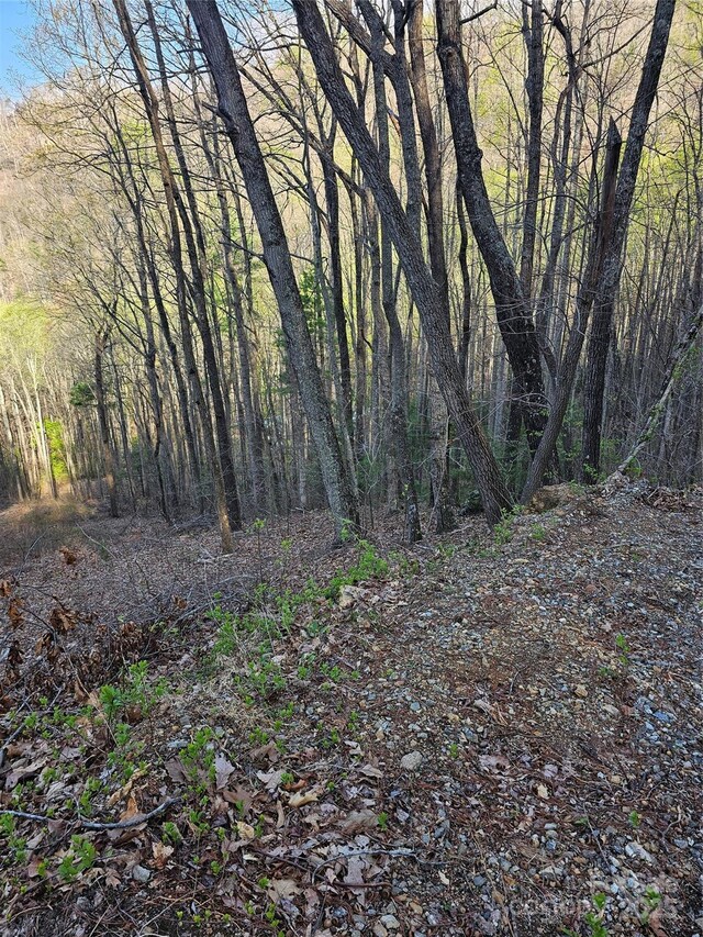 99999 Pink Fox Cove Rd, Weaverville, NC 28787