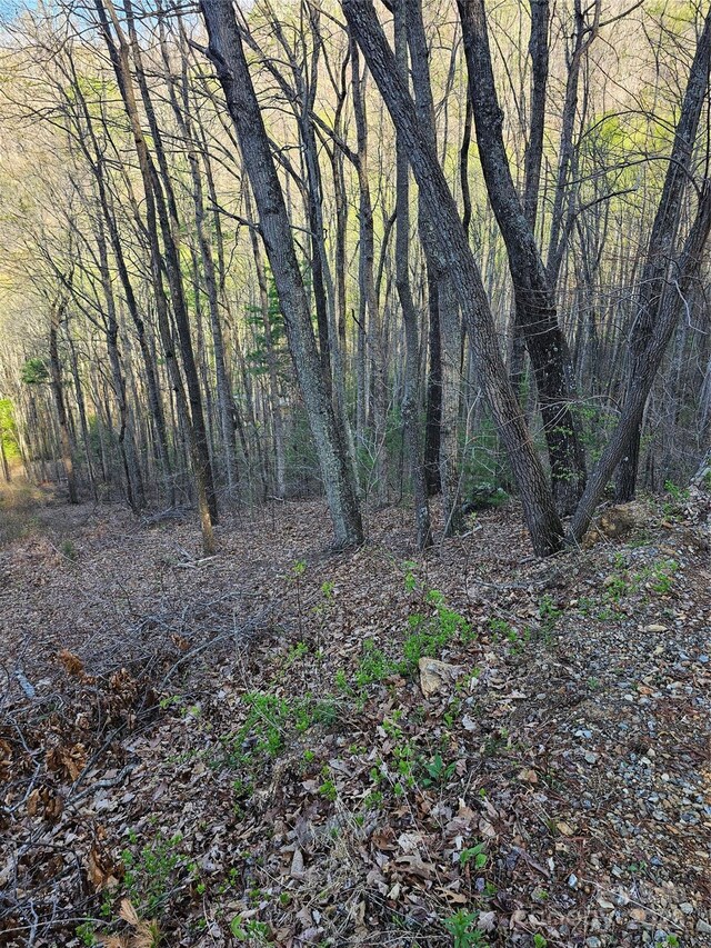 99999 Pink Fox Cove Rd, Weaverville, NC 28787