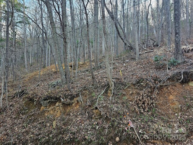 99999 Pink Fox Cove Rd, Weaverville, NC 28787