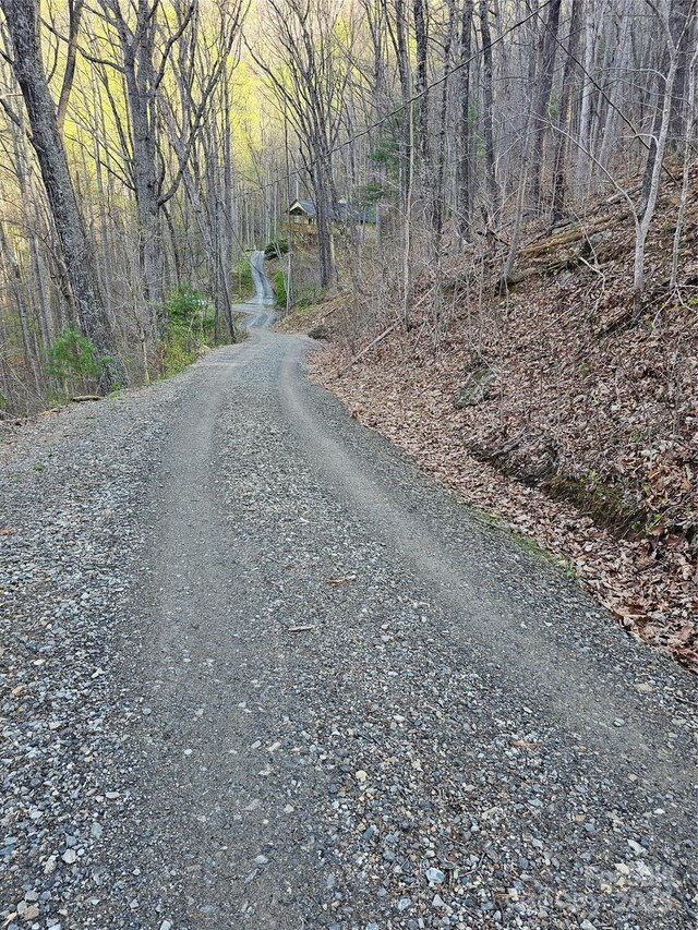 99999 Pink Fox Cove Rd, Weaverville, NC 28787