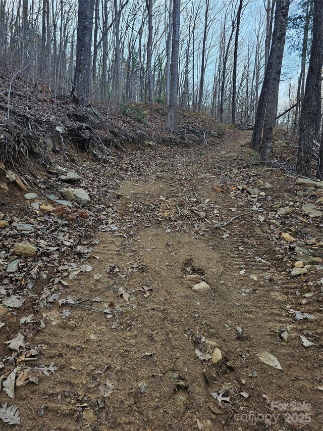99999 Pink Fox Cove Rd, Weaverville, NC 28787