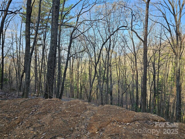 99999 Pink Fox Cove Rd, Weaverville, NC 28787