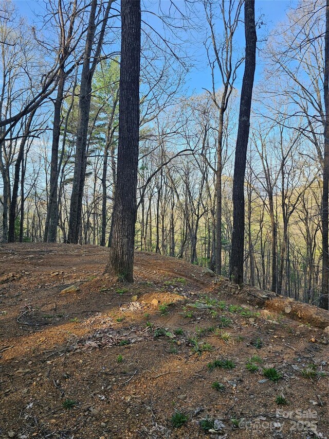 99999 Pink Fox Cove Rd, Weaverville, NC 28787