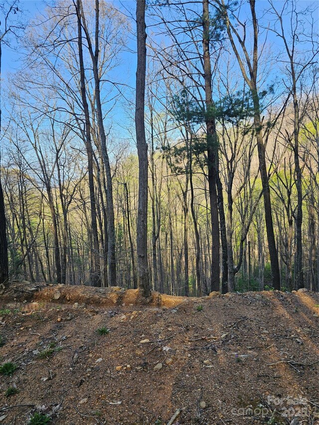 99999 Pink Fox Cove Rd, Weaverville, NC 28787