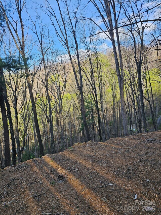 99999 Pink Fox Cove Rd, Weaverville, NC 28787